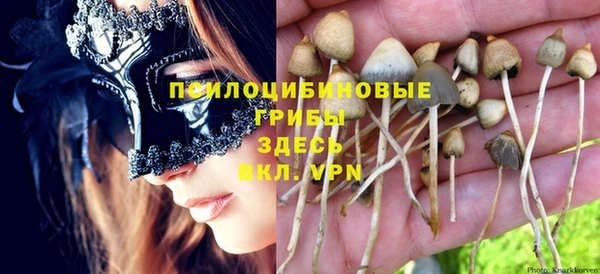 мдпв Алексин