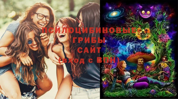 амфетамин Алексеевка
